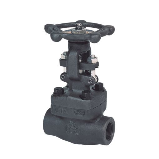 陽春市Z61H型鍛鋼承插焊閘閥